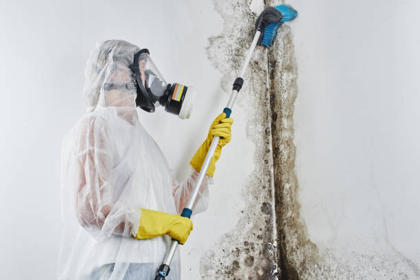 Professional Water damage restoration in Bluffton, SC